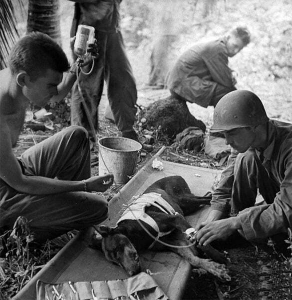 24 rare-historical-photos-52-579a01713da75__880