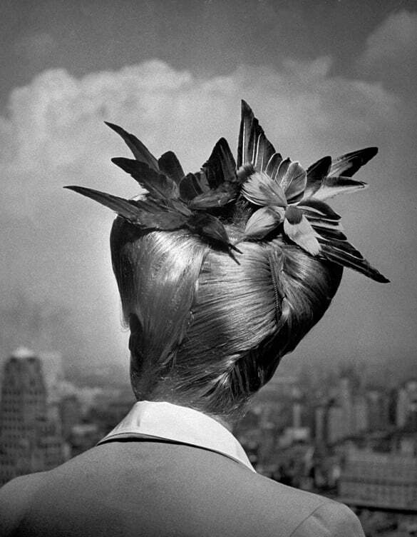nina_leen_bird_hairstyle