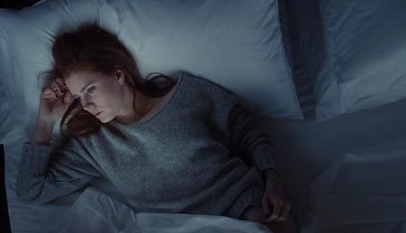 nocturnal animals 2