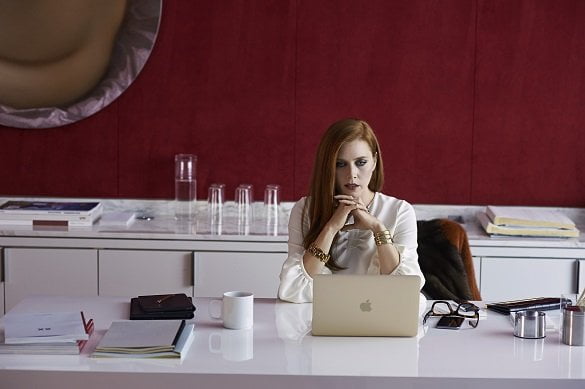nocturnal animals 5
