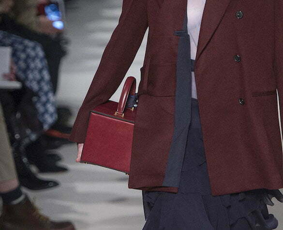 Victoria-Beckham-Fall-2017-Bag