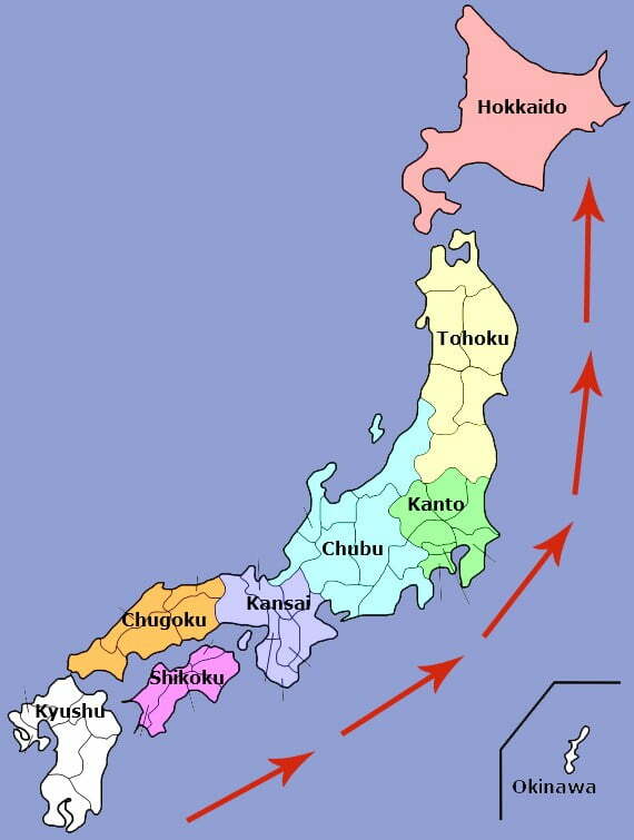 cherry_blossom_forecast_japan