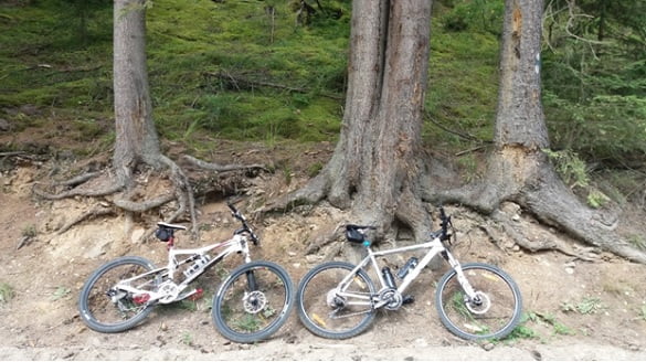 biciclete