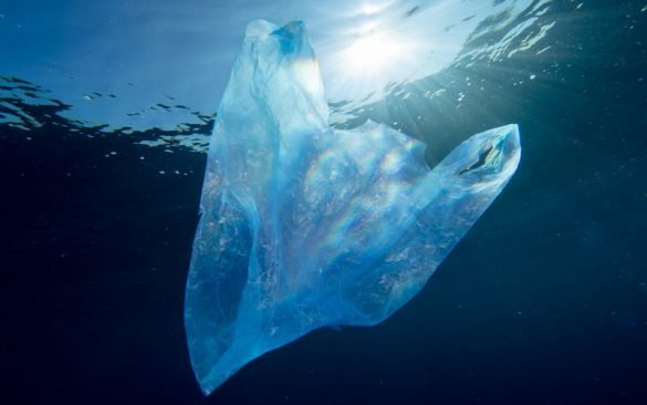plastic