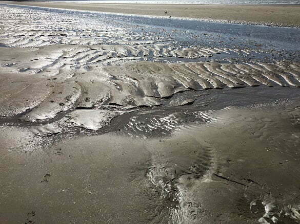 mare