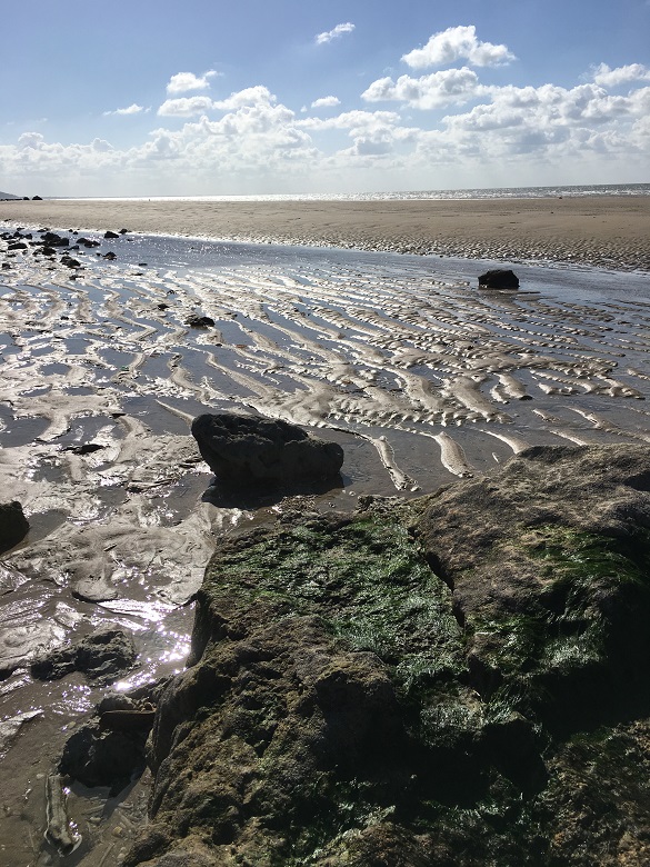 image5