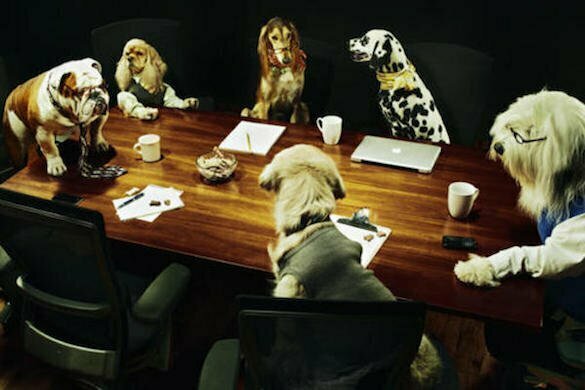 Dog+Meeting