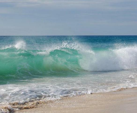 mare
