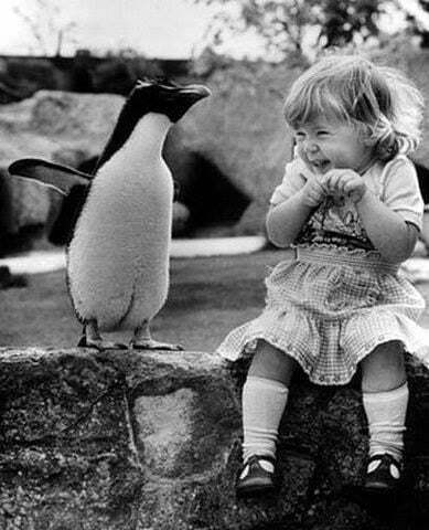 copil pinguin fericire