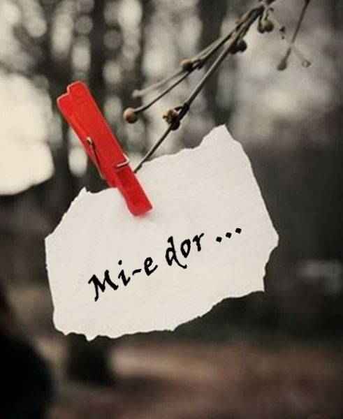 dor
