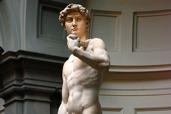 david