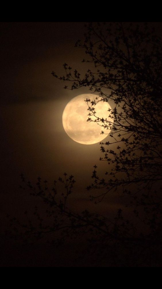moon