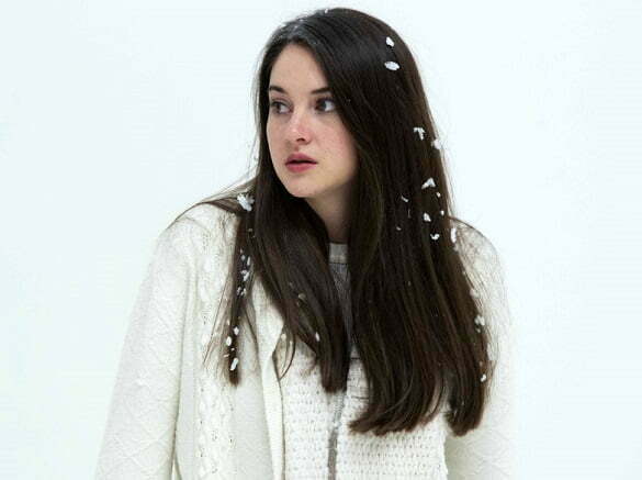 5 - White Bird in a Blizzard