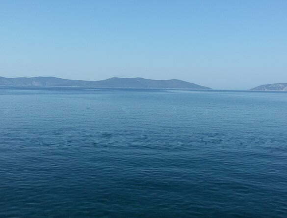 mare