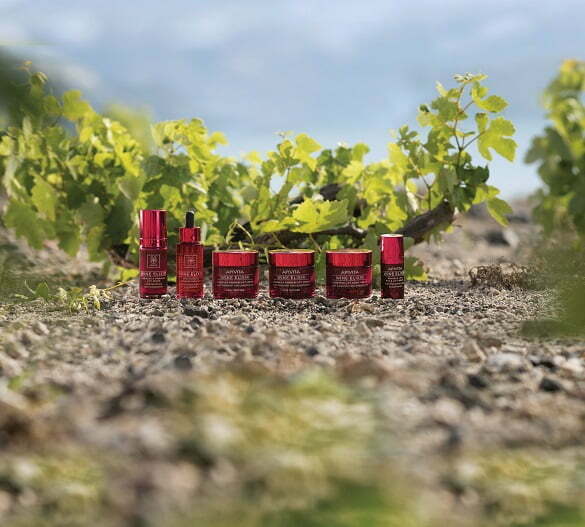 GROUP-PHOTO-WINE-ELIXIR