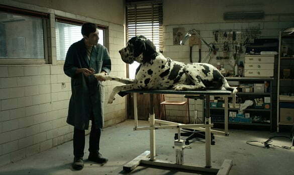Dogman-film still