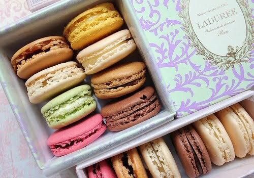 macarons