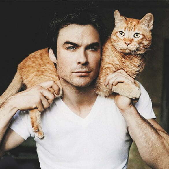 Ian Somerhalder barbat pisica
