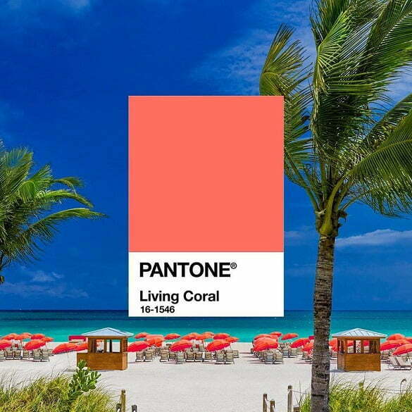 living coral pantone 2019