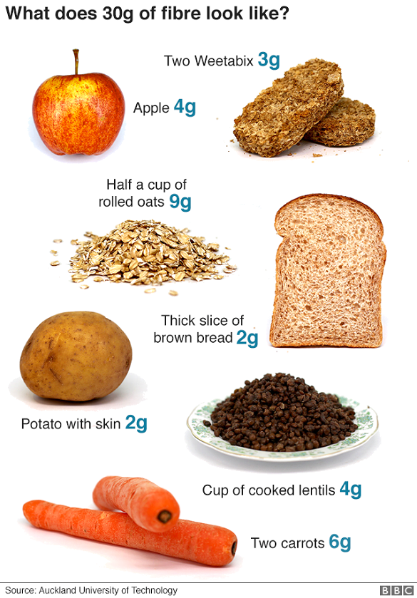 fibre 