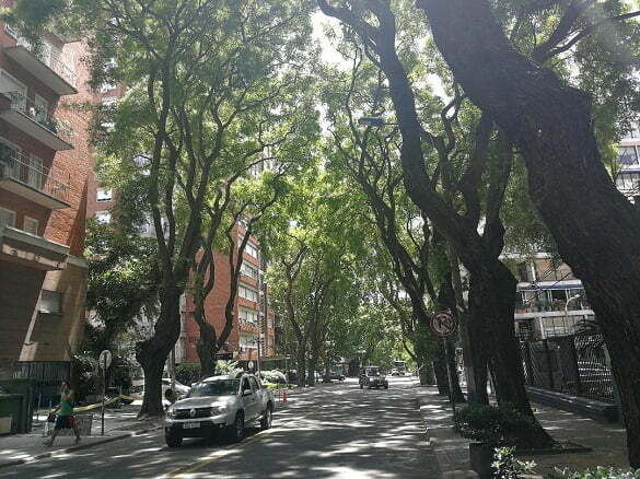 capitală Montevideo