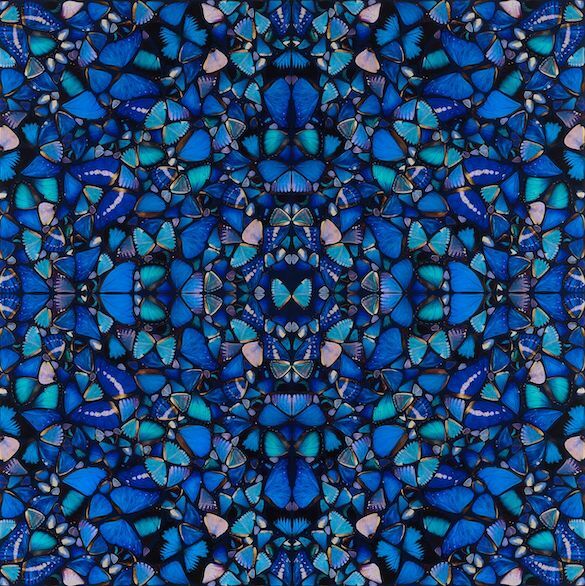 H6-1 Mercy by Damien Hirst Damien Hirst descrie fluturele ca pe un "declanșator universal": oricine se teme de sticlă, de rechini, dar toată lumea iubește fluturii. În lucrarea ‘The Aspects’, Hirst aranjează imaginile fluturilor într-un tipar de caleidoscop. Perfecta simetrie a aripilor seamănă cu vitraliile arhitecturii gotice și cu tiparele circulare ale mandalelor. Pentru Hirst fluturele înseamnă o reprezentare spirituală, folosită prima dată de greci pentru a portretiza sufletul și mai târziu în simbolistica creștină pentru a simboliza învierea.