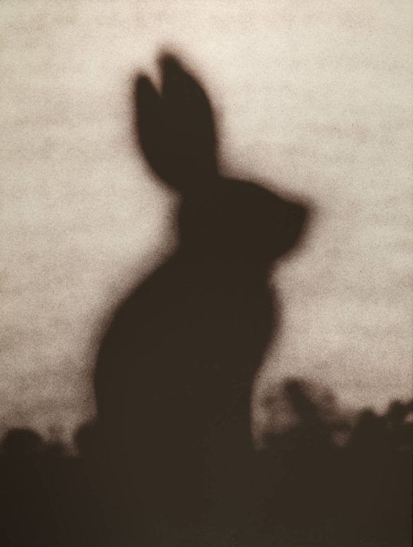 Edward Ruscha, Rabbit (detail), 1986